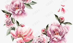 动漫 花,绽放于时光之河的青春传奇